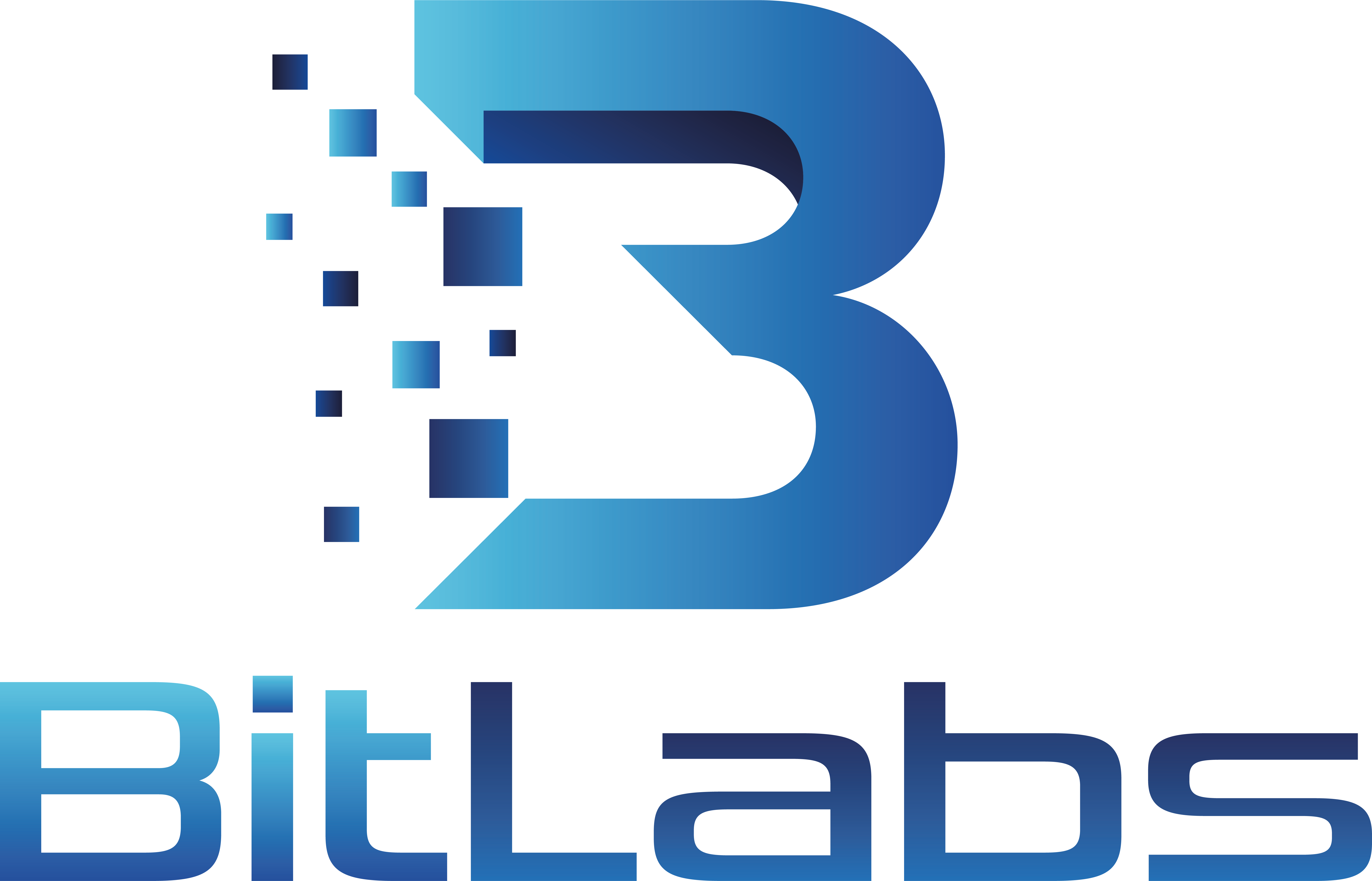 Logo BitLabs Dominik Kijak